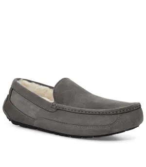 Ascot in Grey by UGG