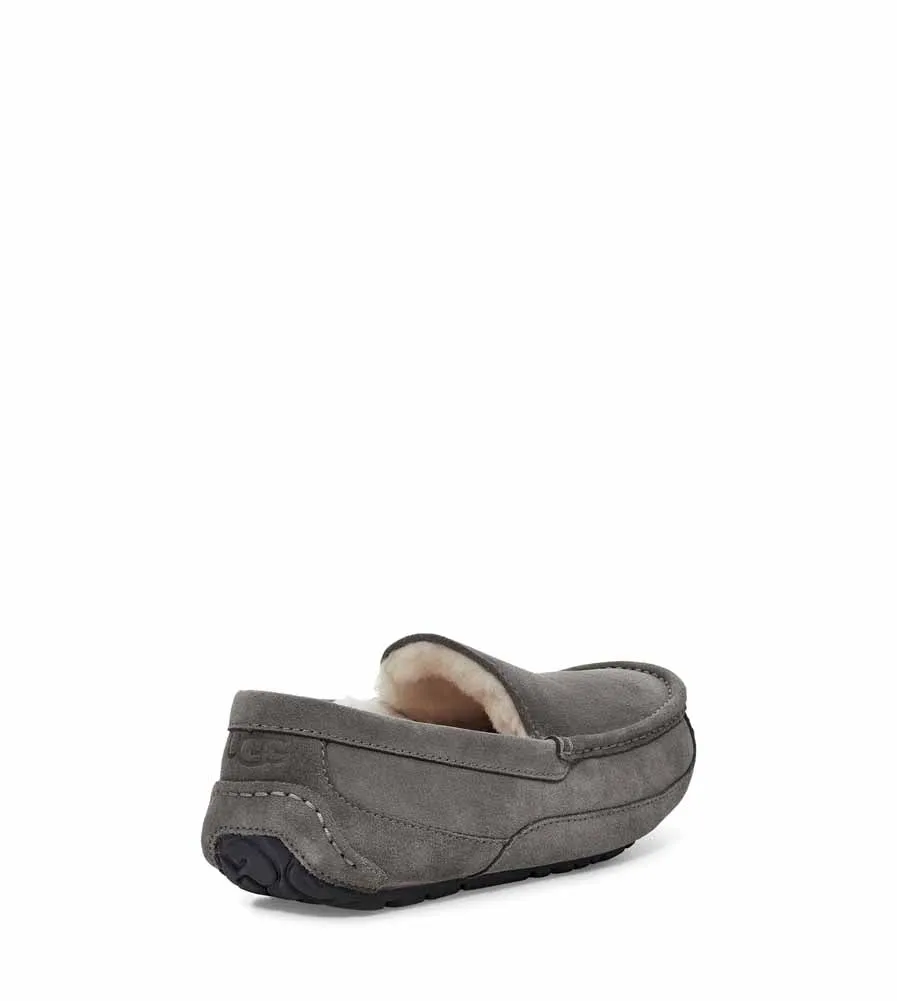 Ascot in Grey by UGG